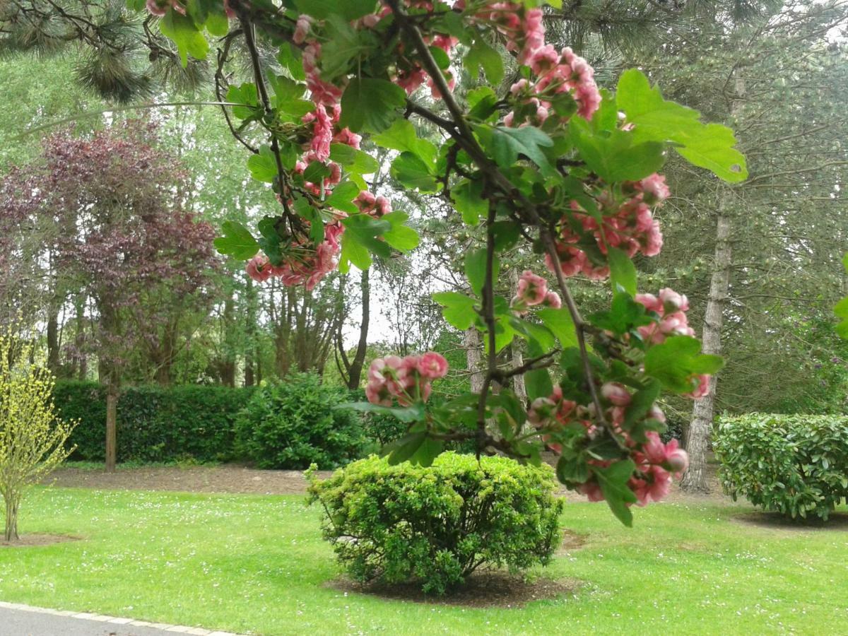 ראנג-דו-פלייר Chambre D'Hotes Les Hortensias מראה חיצוני תמונה